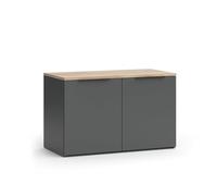 Vicco Sideboard Wido, Anthracite, 80x50cm avec 2 Portes, Convient pour Le Rangement des vêtements et des Articles ménagers