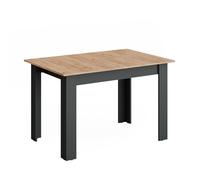 Vicco Table de Salle à Manger Repose, Anthracite/chêne doré, 160x80cm Extensible
