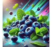 Vice - Concentré d'arôme myrtille-menthe - Vegan - Sasami - 100ml