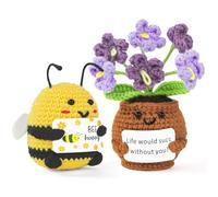 Vicloon Fleurs Positives, Cadeau de Fleurs au Crochet avec Carte d'Encouragement, Myosotis et Abeille au Crochet Positif, Cadeau de Soutien Émotionnel pour Collègues Amie, Mini Tricotées en Plante