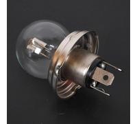 Vicma Ampoule compatible avec Auto 12V 45/40W P45t