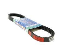 TECNIUM Courroies de transmission standard