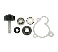 Vicma Pompe à Eau Repair Kit for Majesty, X-City Max, X, Versity 250