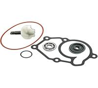 Tecnium Yamaha X-max 125 Water Pump Rebuild Kit Argenté