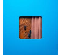 Modern Error – Victim Of A Modern Age – CD – Membran