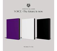 Voice: The Future Is Now
