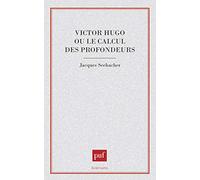 Victor Hugo ou le calcul des profondeurs