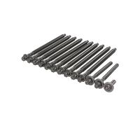 Victor Reinz Kits de vis de culasse 143234701