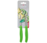 Victorinox Swiss Classic set de couteaux à fruits et légumes, 2 pièces, lame dentelée ultra-trachante, 8 cm, manche en plastique robuste, acier inoxydable, vert