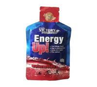 Victory Endurance Energy Up Gel Sandia 24x40g