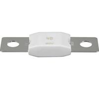 Victron Energy Cartouche-fusible CIP138080020