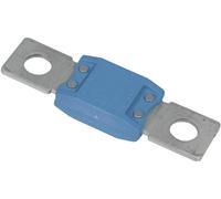 Victron Energy Cartouche-fusible CIP138400020