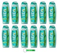 Vidal Lot de 12 gels douche bagnodoccia/mousse de douche au musc blanc 250 ml + porte-clés Beni Culinari
