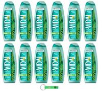 Vidal Lot de 12 gels douche bagnodoccia/mousse de douche au musc blanc 500 ml + porte-clés Beni Culinari