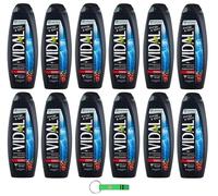 Vidal Lot de 12 gels douche Bagnodoccia/mousse de douche aux extraits de ginseng et de guarana 500 ml + porte-clés Beni Culinari