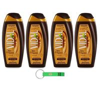 Vidal Lot de 4 gels douche Bagnodoccia/mousse de douche à l'huile d'argan 250 ml + porte-clés Beni Culinari