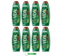 Vidal Lot de 8 gels douche Bagnodoccia/mousse de douche avec pin classique 500 ml + porte-clés Beni Culinari