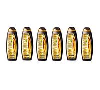 Vidal Olio di Argan Bagnodoccia Lot de 6 gels douche bio à l'huile d'argan 500 ml Gel douche Nourrit et régénère