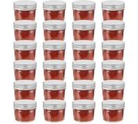 vidaXL 24x Pots à Confiture avec Couvercles Bocaux à Confiture Bocaux à Conserves Stockage Chutney Cornichon Sauce Argenté Verre 110 ml Argent G