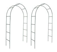 Arche De Jardin Pour Des Plantes Grimpantes(2 Pièces)