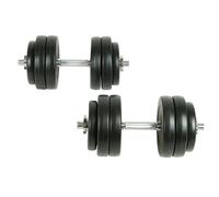 vidaXL 2x Haltères Poids Barres Disques à Revêtement Plastique Gymnase Sport 90235