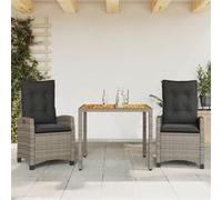 vidaXL 3-delige Tuinset met kussens poly rattan grijs3212671 Gris G