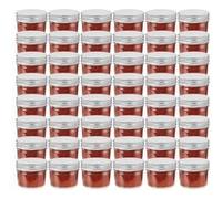 vidaXL 48 pcs Pots à confiture avec couvercles argentés Verre 110 ml Argent G