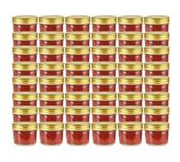 vidaXL 48x Pots à Confiture avec Couvercles Bocaux à Confiture Bocaux à Conserves Stockage Chutney Cornichon Sauce Doré Verre 110 ml Or G