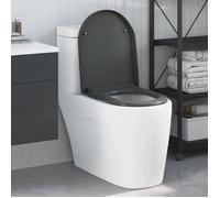 VIDAXL Abattant WC déclipsable Duroplast anthracite 46 2 x 36 x 4 3 cm - ouverture rapide fermeture douce
