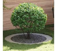 vidaXL Anneau d'arbre plat Argent Ø90 / 120 cm Acier galvanisé