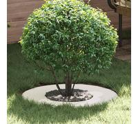 vidaXL Anneau d'arbre plat blanc Ø30 / 60 cm Acier