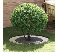 vidaXL Anneau d'arbre plat blanc Ø60 / 90 cm Acier