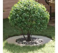 vidaXL Anneau plat pour arbre Argent Ø40 / 70 cm Acier galvanisé