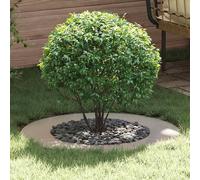 vidaXL Anneau plat pour arbre Argent Ø50 / 80 cm Acier inoxydable