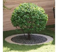 vidaXL Anneau plat pour arbre Argent Ø90 / 120 cm Acier inoxydable