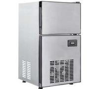 vidaXL Fabricant de cubes de glace avec porte Argenté 43 x 40 x 71 cm