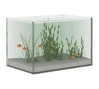 vidaXL Aquarium rectangulaire en verre 30×20×20 cm transparent – Moderne, résistant