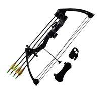 vidaXL Arc à Poulies pour Adolescent avec Accessoires Flèches en Aluminium