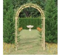 vidaXL Arche 141x97x243 cm en bois de pin massif imprégné