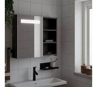 vidaXL Armoire de salle de bain à miroir LED 60x13x52 cm Noir