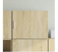 vidaXL Armoire murale Chêne Sonoma 50x42,5x40 cm Bois d'ingénierie Multicolore