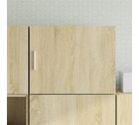 vidaXL Armoire murale chêne sonoma 50x42,5x40 cm bois d'ingénierie 846112 Marron G