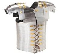 vidaXL Armure corporelle de soldat romain GN Argenté Acier Argent G