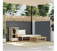 vidaXL Auvent latéral rétractable Anthracite 120 x 600 cm