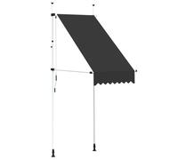 Vidaxl Auvent Manuel Rétractable 100 Cm Anthracite