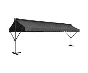 vidaXL Auvent sur Pied 600 x 300 cm Anthracite
