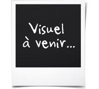 vidaXL Bâche 650 g / m² 6 x 8 m Blanc Blanc G