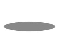 vidaXL Bâche de Piscine, Tapis de Sol Rond, Couverture de Piscine, Protection de Piscine Jardin Terrasse, Gris Clair Ø500 cm 94221