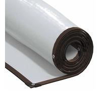 vidaXL Bâche transparente 1x4 m avec œillets – polyéthylène résistante