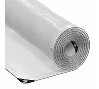 vidaXL Bâche transparente avec œillets 2x4 m polyéthylène, bâche claire 4018505 Multicolore